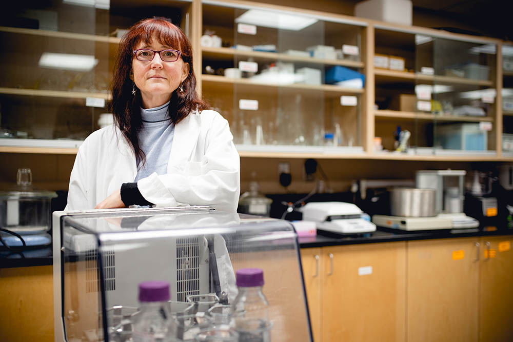 Dr. Anne Hawboldt